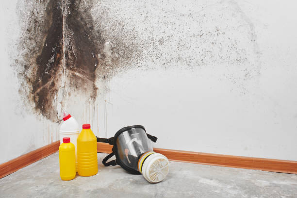 Best Industrial Mold Remediation in Kekoskee, WI