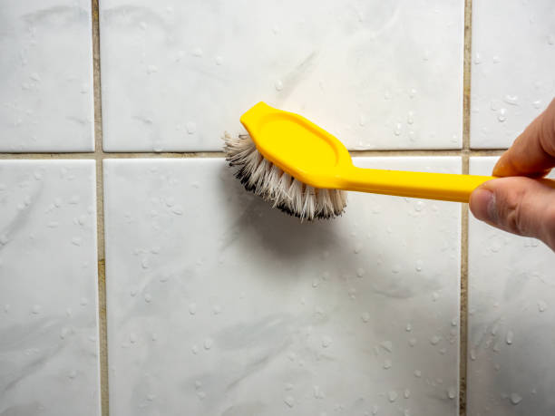 Best Bathroom Mold Remediation in Kekoskee, WI