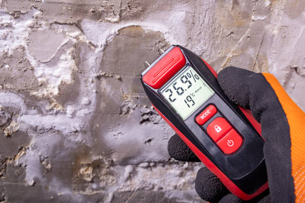 Best Insurance-Related Mold Remediation in Kekoskee, WI