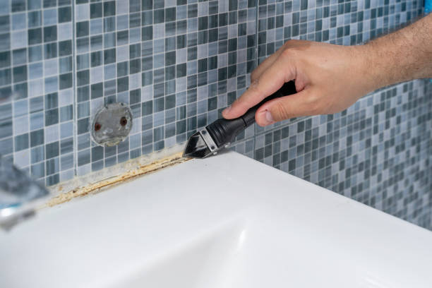 Best Mold Remediation for Schools in Kekoskee, WI